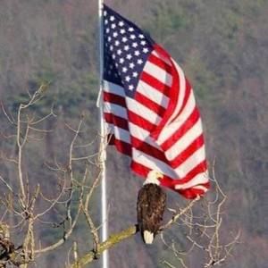 Meet your Posher, Marian